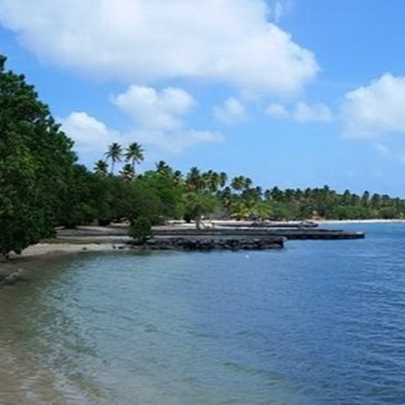 Meet your Posher, Michelle - Picture 1 of 1